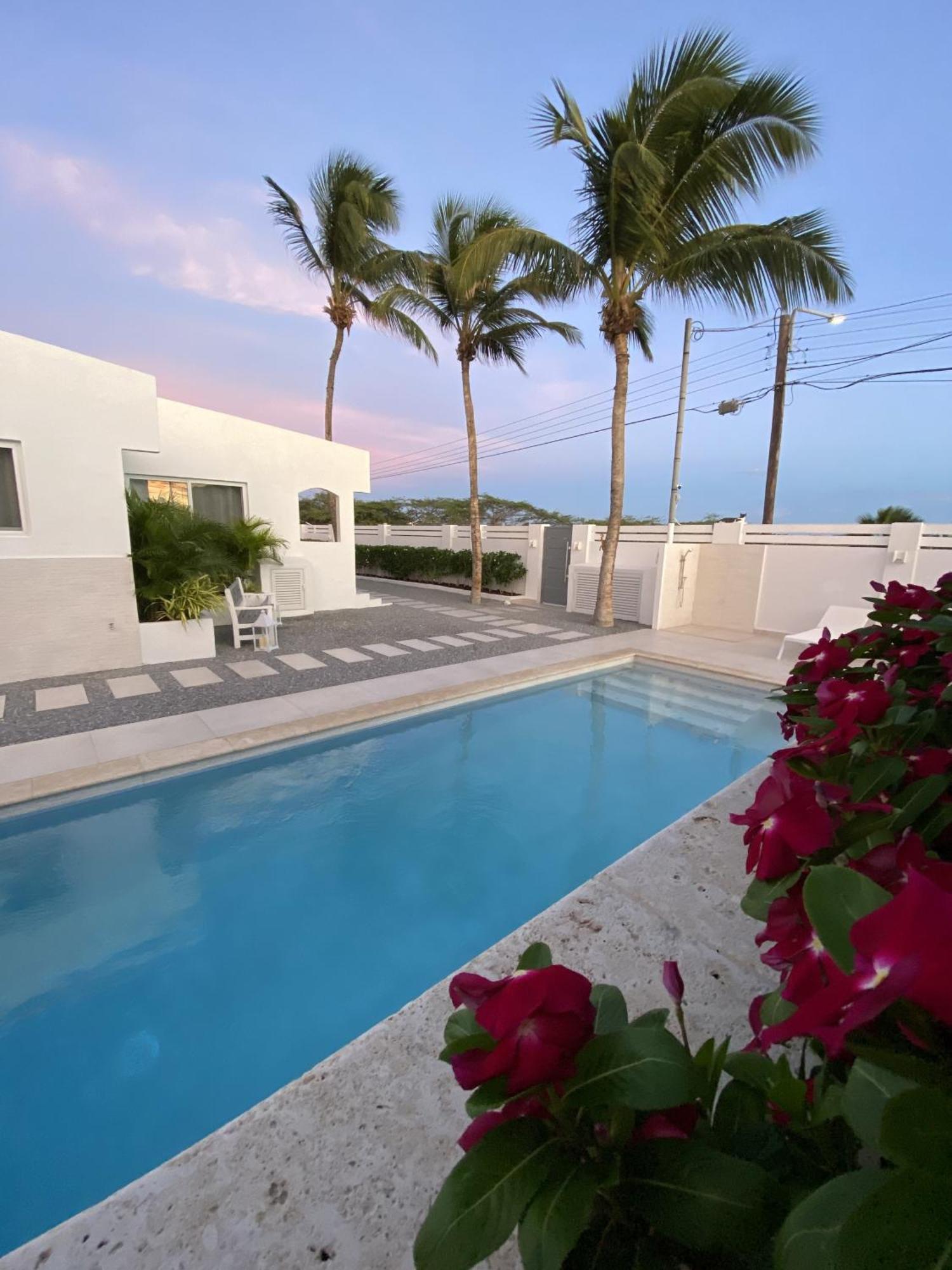 Movida Inn Aruba شاطئ بالم الغرفة الصورة