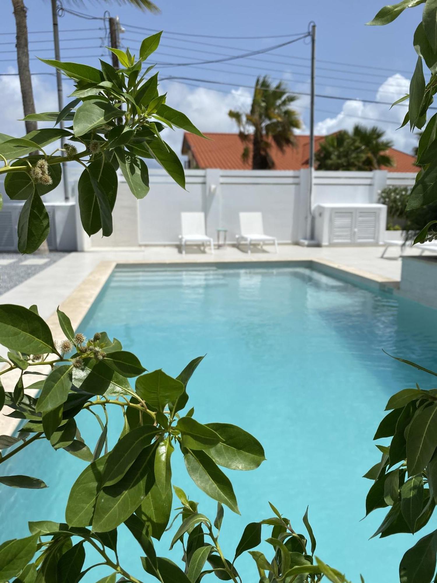 Movida Inn Aruba شاطئ بالم الغرفة الصورة