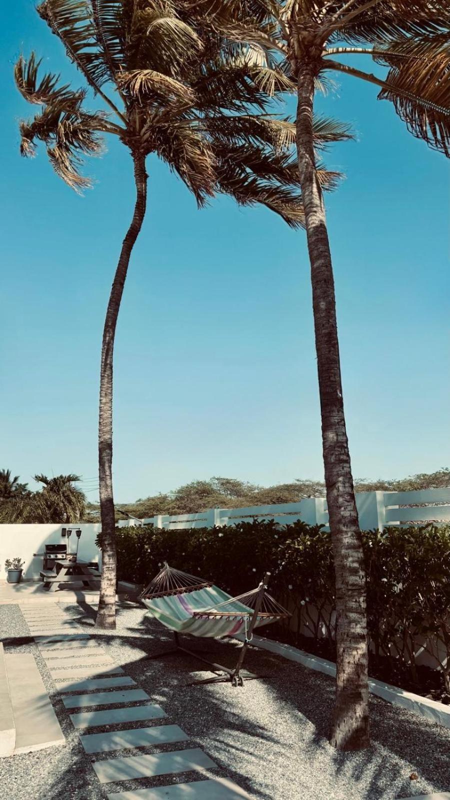 Movida Inn Aruba شاطئ بالم المظهر الخارجي الصورة