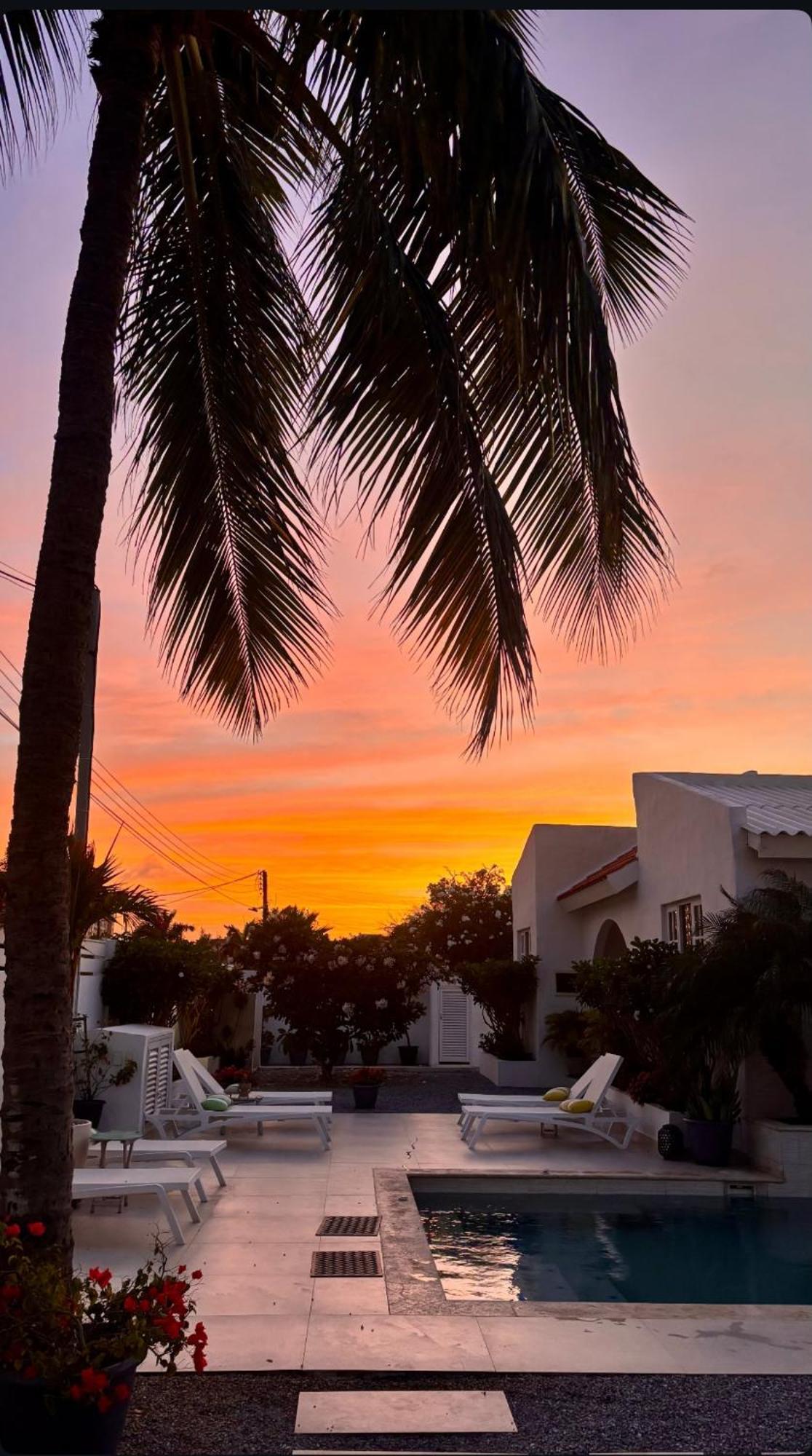 Movida Inn Aruba شاطئ بالم المظهر الخارجي الصورة
